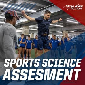 assesment